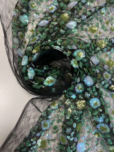 Gipiūras suvinėtas žvyneliais (12 FB 0007)